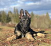 Odin