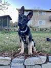 Odin