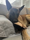 Kilo