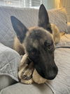 Kilo