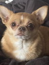 Baine