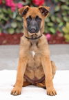 Lulu Von Xena