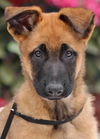 Lulu Von Xena