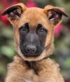 Lulu Von Xena