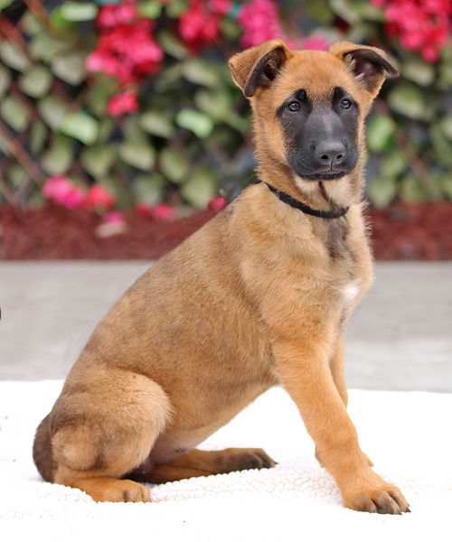 Lulu Von Xena