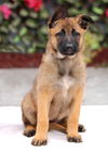Honey Von Xena