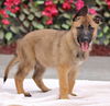 Honey Von Xena
