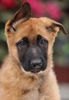 Nova Von Xena
