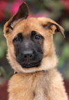 Nova Von Xena