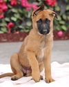 Nova Von Xena