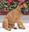 Nova Von Xena