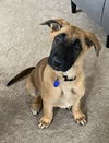 Nova Von Xena