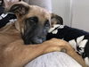 Nova Von Xena