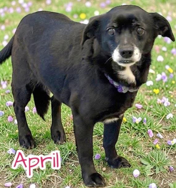 April