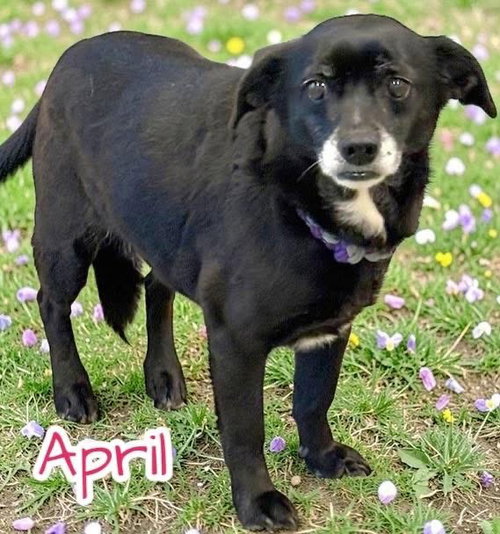 April