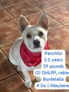 Panchito