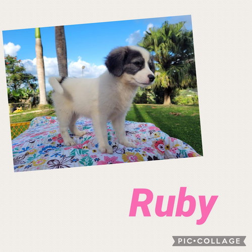 Ruby