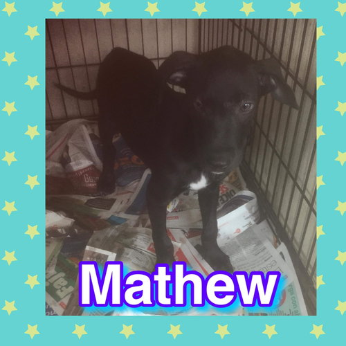 Mathew