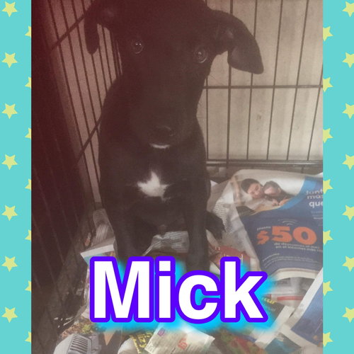 Mick/Rico