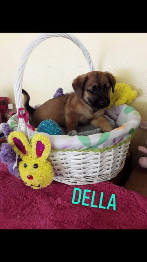 Della