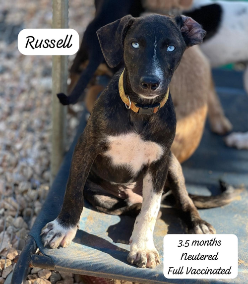 Russell
