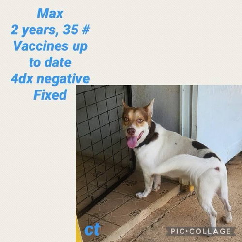 Max