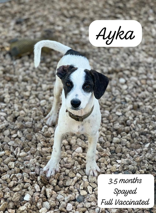 Ayka