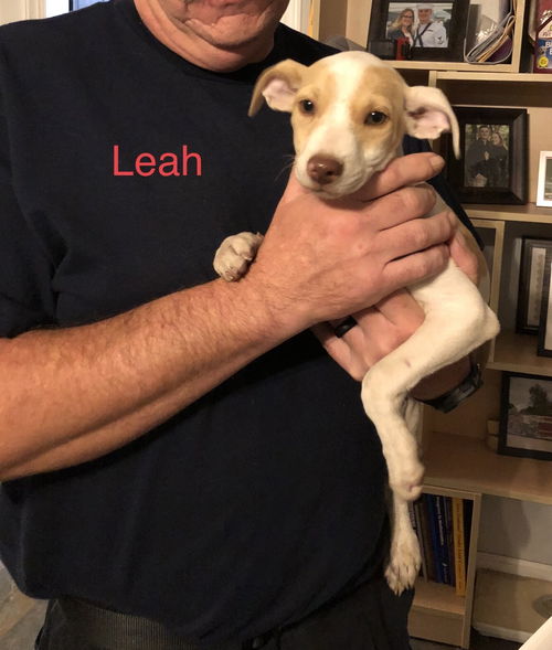 Leah/Luna