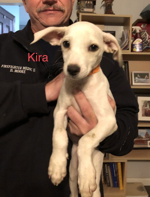 Kira