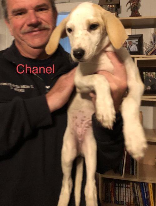 Chanel/Lucy