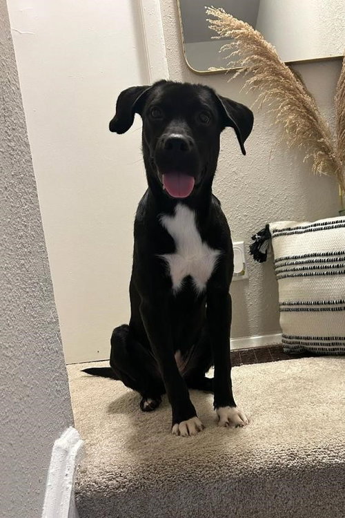 Roxy