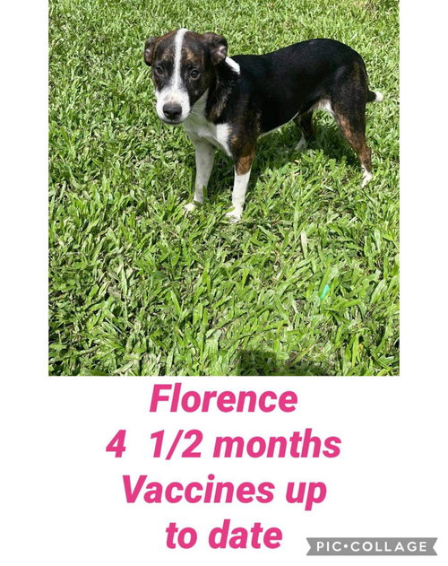 Florence