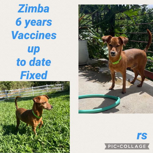 Zimba