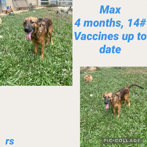 Max