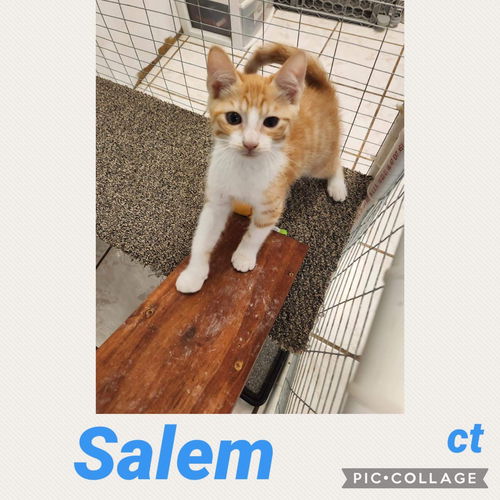 Salem