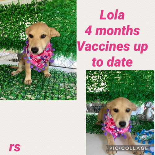 Lola