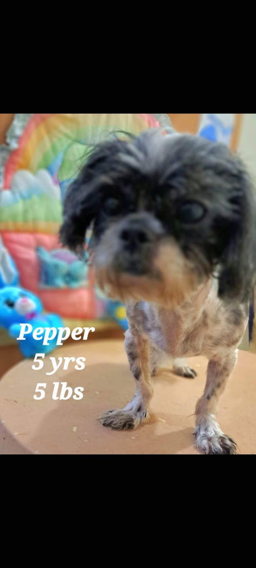 Pepper