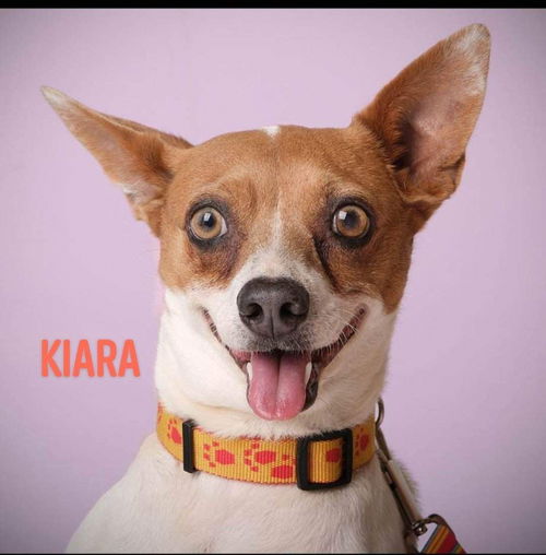 Kiara