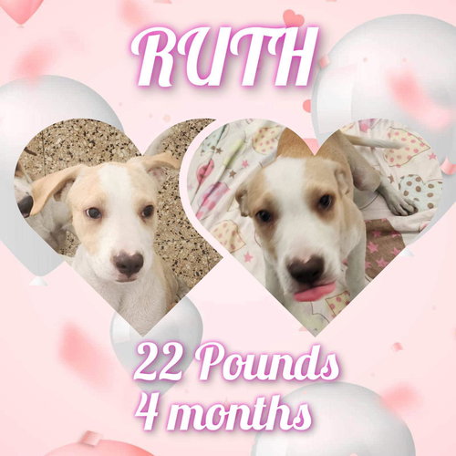 Ruth