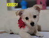 Krissy/Mishka
