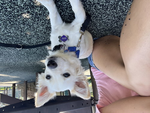 Krissy/Mishka