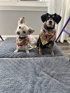 Krissy/Mishka