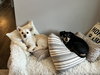 Krissy/Mishka
