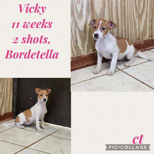 Vicky