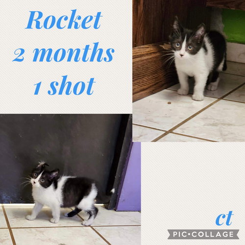 Rocket