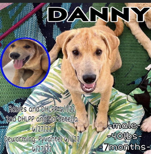 Danny