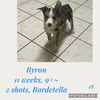 Byron