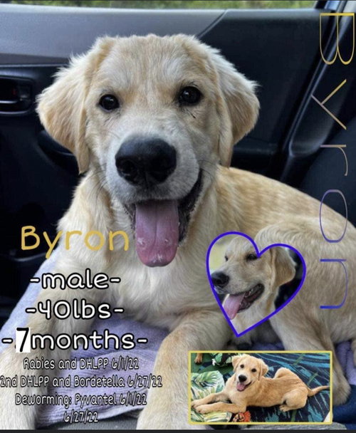 Byron