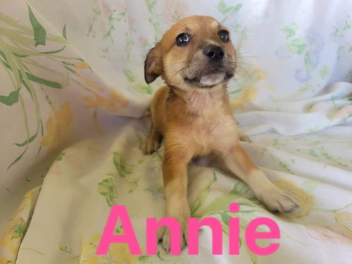Annie/Naya