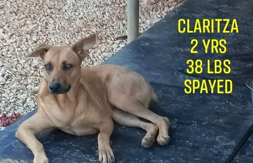 Claritza